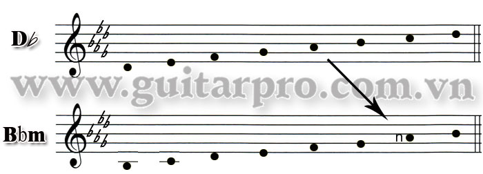 gamut gamut