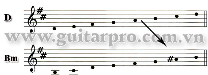 gamut gamut