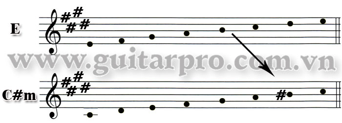 gamut gamut