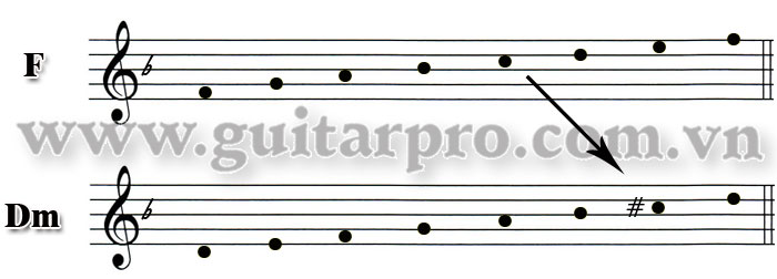gamut gamut