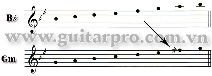 gamut gamut