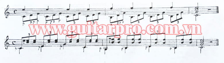 học guitar cơ bản cho người mới bắt đầu