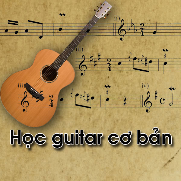 Học guitar cơ bản cho người mới bắt đầu