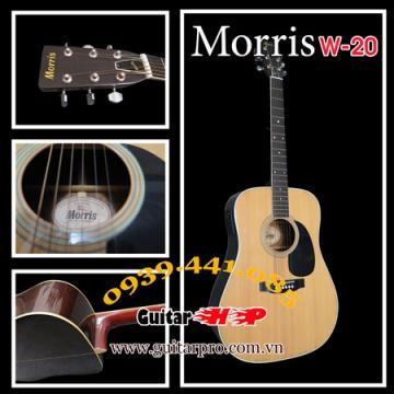 Acoustic guitar Morris W-20